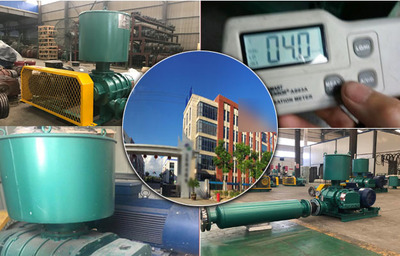 華東地區(qū)羅茨風(fēng)機(jī)應(yīng)用案例——江蘇環(huán)保設(shè)備的創(chuàng)新實(shí)踐